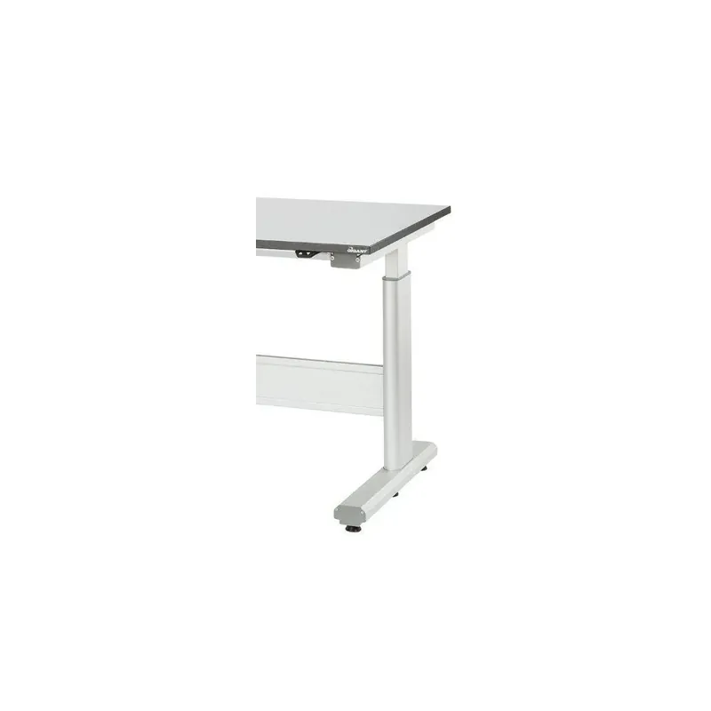 Erbjudande GAVELPAR GIGANT FLEX 250 D730MM