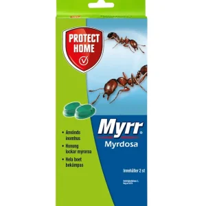 Bästa pris MYRDOSA MYRR 2-P