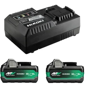 BATTERISET 2XBSL36A18X Outlet